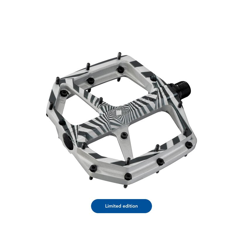 TRAIL ROC PLUS LTD THOMAS GENON